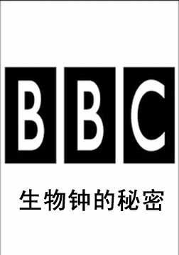 BBCӵ